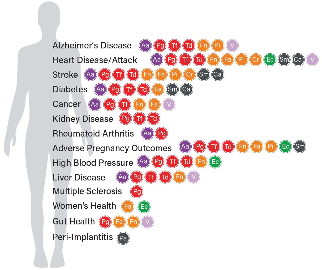 Systemic Risks Connected to Oral Pathogens